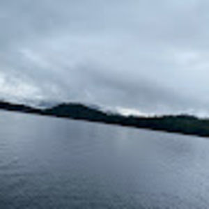 Meet your Posher, Finnley